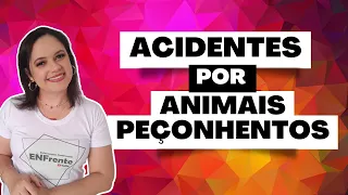 Acidentes por animais peçonhentos: o que são?