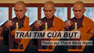 Thiền sư Thích Nhất Hạnh [TN]|Trái Tim của Bụt|Tập 11: Phật pháp căn bản - Quán niệm thân trong thân