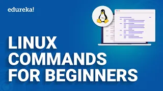 Linux Commands | Basic Linux Commands for Beginners | Edureka