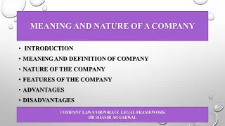 MEANING AND NATURE OF COMPANY