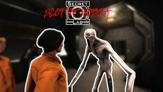 [Scp Secret Laboratory] Scopophobia