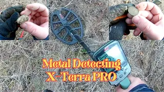 Metal Detecting: Minelab X-Terra Pro