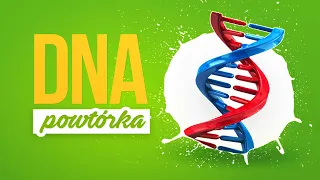 DNA - geneza, kwasy nukleinowe, budowa nukleotydu, komplementarność, cząsteczki.