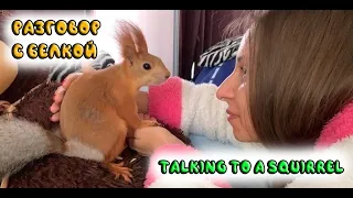 Как со мной разговаривает белка... 😳🐿️🤭 Squirrel talking