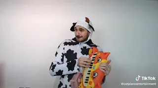 Polish Cow played on Cat Piano