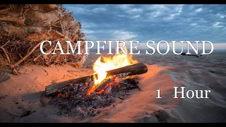 Feu de camp - 1 heure - campfire - 1 hour