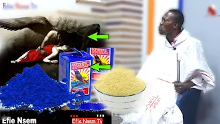 Using Gari and Blue to stop spiritual marriage - Prophet Lion on Efie Nsem