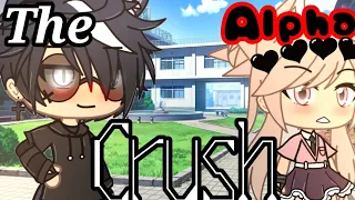 The Alpha's Crush |Gacha life Mini movie| GLMM 1/3