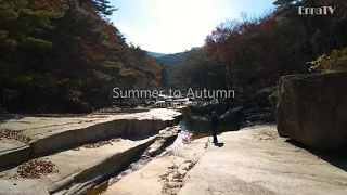 Summer to Autumn - TEST CLIP 2 (FHD)