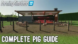 Pig Guide Farming Simulator 22