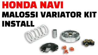 Honda Navi Malossi Variator Kit - CVT upgrade