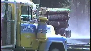 NZ Logging Trucks 1984