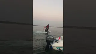 Manobra Jet Ski Empinando Rxp260