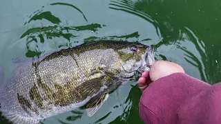 SPRING Dale Hollow Fishing, THE SPAWN IS HERE!