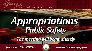 Georgia 2020 House Appropriations: Public Safety, Day 6 Afternoon Part 1