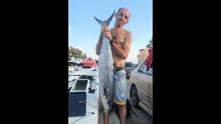 Spearfishing Israel  Spanish Mackerel 11kg  Испанская Макрель 11 кг   16.07.2021 פלמידה לבנה 11 קילו