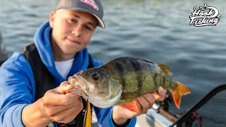 Catching BIG PERCH on Jerkbaits!!!