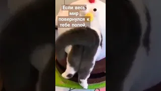 все, что ни делается, все к лучшему... #самопознание