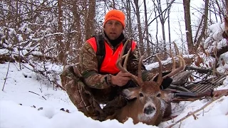 Whitetail Edge: 143" Ohio Buck up close gun shot!