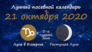 [21 октября 2020] Лунный посевной календарь огородника-садовода | Флористикс Инфо