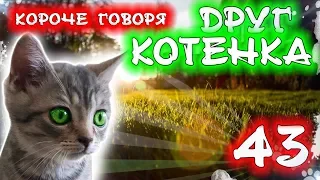 КОРОЧЕ ГОВОРЯ, НОВЫЙ ДРУГ КОТЕНКА 43 [От первого лица] Бездомный котенок Лайки