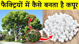 फैक्ट्री में कैसे बनती है अगरबत्ती और कपूर | camphor powder manufacturing process