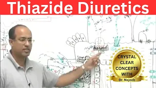 Thiazide Diuretics | Mechanism Of Action | Pharmacology💊