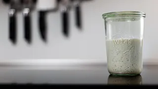 Sourdough starter maintenance | Best way to keep a healthy starter?