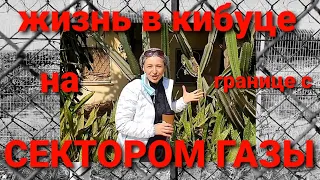 Израильский Кибуц - Нахаль Оз / Путешествия по Израилю на автомобиле