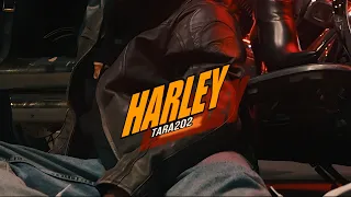 TARA202-HARLEY