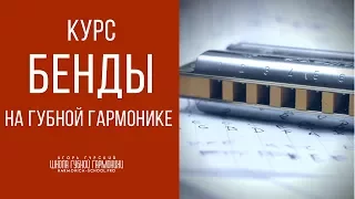 Курс "Бенды на губной гармонике"