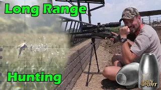 Daystate Red Wolf Safari Long Range slug Hunting | Airgun Pest Control