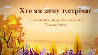 Відеозаняття з ознайомлення із природним довкіллям "Хто як зиму зустрічає?" Молодша група