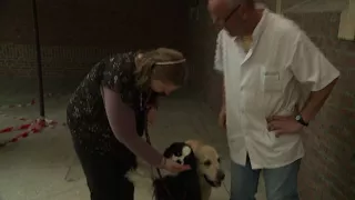 France: Dogs help treat mental health patients in hospital