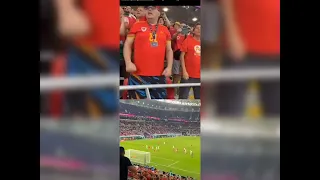 Usa vs Wales (1-1) highlights (fan reaction )