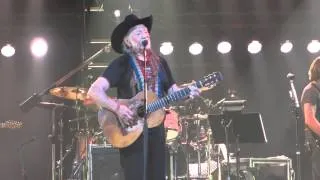 Roll Me Up and Smoke Me When I Die - Willie Nelson