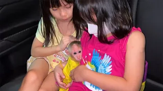 Best funny! Monkey Bibi cried and was happy to see the two sisters again!