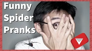 Funny Spider Pranks Compilation [2017] (TOP 10 VIDEOS)