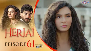 Herjai | Episode 61 | Turkish Drama In Urdu | TV One Drama | 12 November 2021 | #TVOne