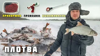 ЛОВЛЯ ПЛОТВЫ НА МОРМЫШКУ С МОТЫЛЁМ ПРИКОРМКА ПРОВОДКА ПОИСК как поймать? зимняя рыбалка 2021