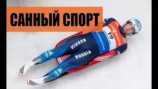 САННЫЙ СПОРТ