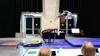 Nationals 2024  Vault - 9.5 ⭐️