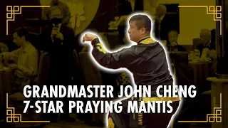 Grandmaster John Cheng // 7 Star Praying Mantis Style [七星螳螂拳]