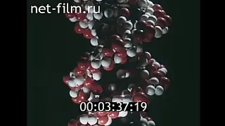 Не останавливая мгновения (СССР, 1982), документальный фильм [12+]