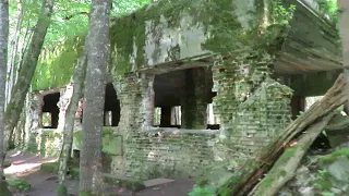 WOLFSSCHANZE Führer Headquarters Bunkers & Ruins