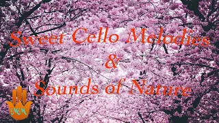 Sweet Cello Melodies | Calming Classical Music | Relaxing Music with Sounds of Nature |