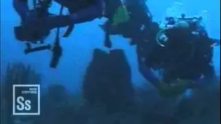 Science in Seconds - NEEMO