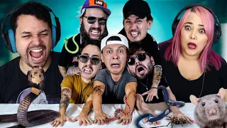 É PROIBIDO SE MEXER! 🐍🕷️ (ft. YOUTUBERS DAS ANTIGAS) O MELHOR DO YOUTUBE! (Canal Canalha) ‹ REACT ›