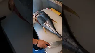 The Best  Cutting Fish Skills | Tuna Cutting And Cleaning Fastest With Japanese Styles Food #383