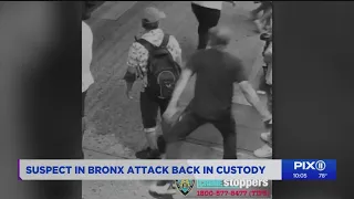 Suspect in Bronx sucker-punch attack back in jail